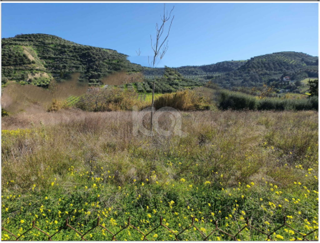 εικόνα αγγελίας