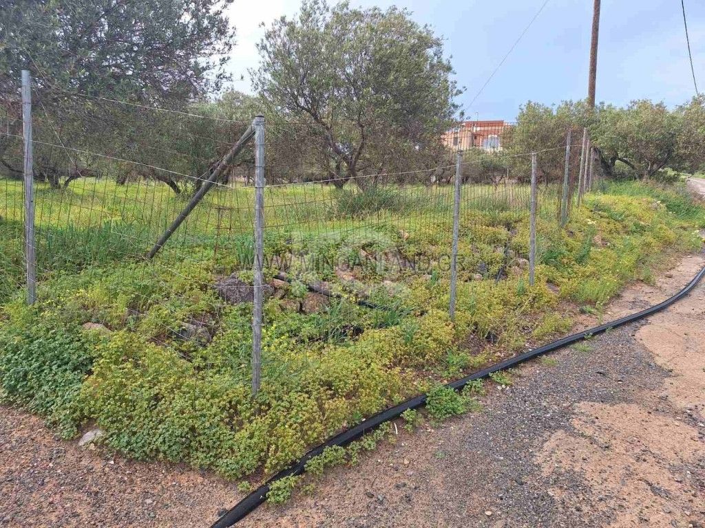 εικόνα αγγελίας