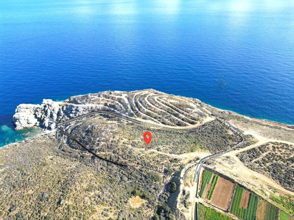 εικόνα αγγελίας