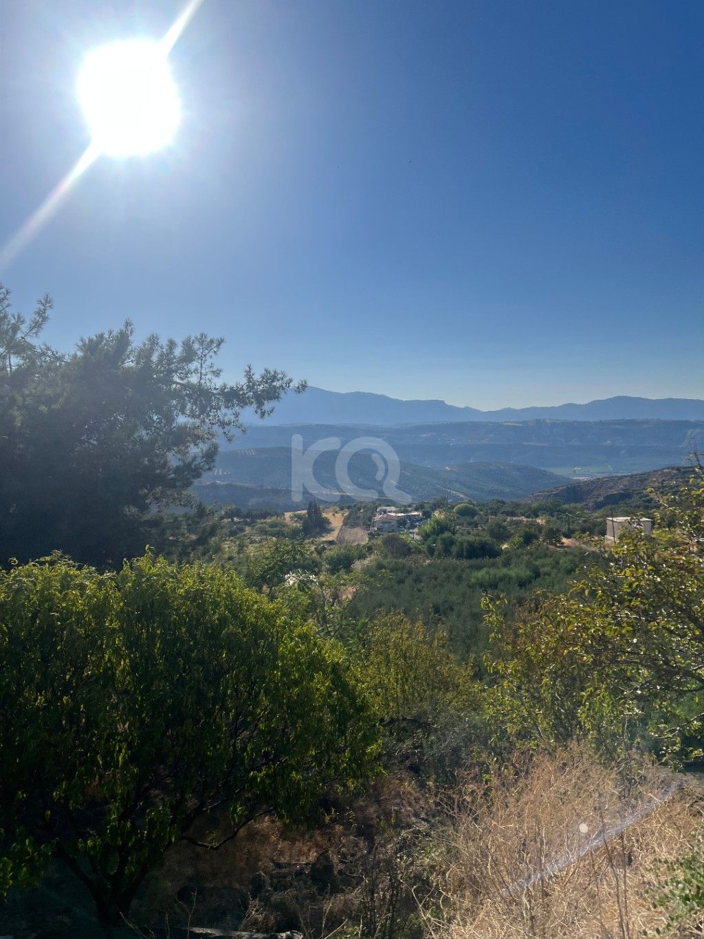 εικόνα αγγελίας