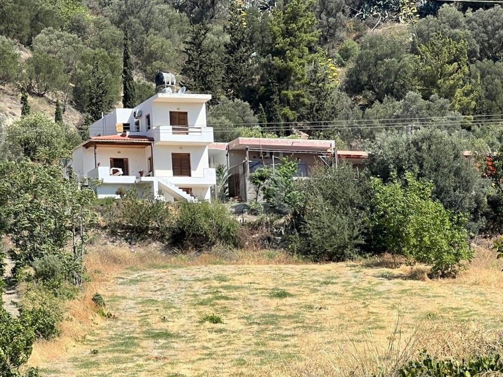 εικόνα αγγελίας