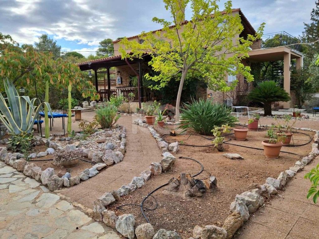 εικόνα αγγελίας