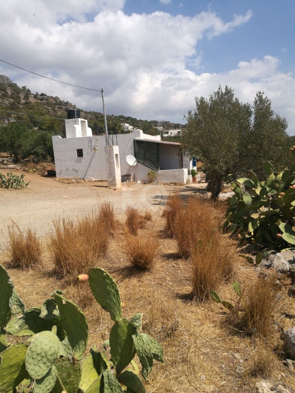 εικόνα αγγελίας