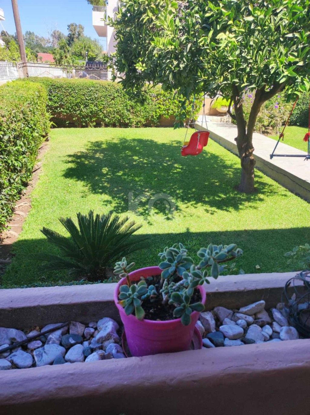 εικόνα αγγελίας