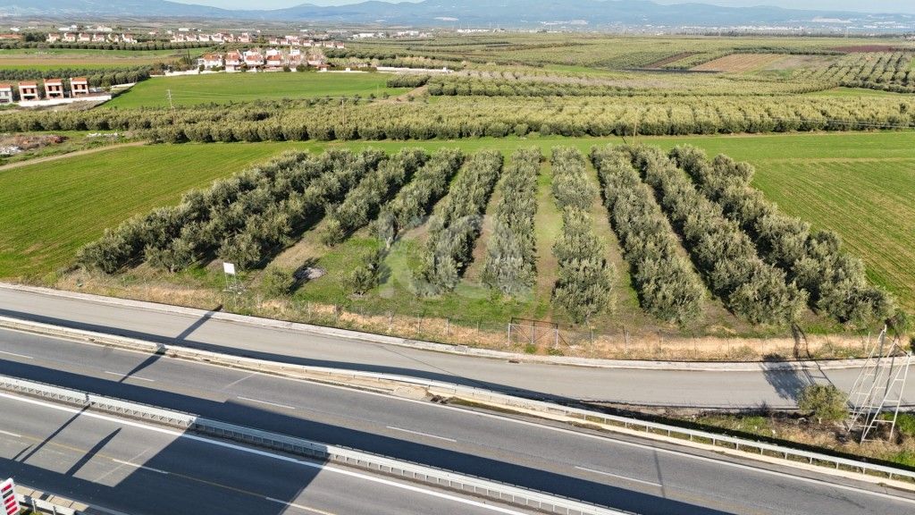 εικόνα αγγελίας