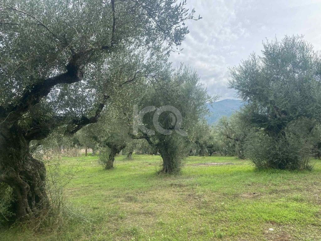 εικόνα αγγελίας