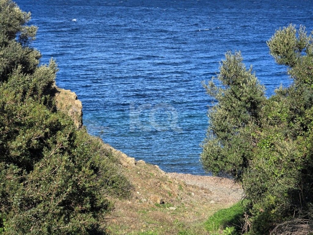 εικόνα αγγελίας