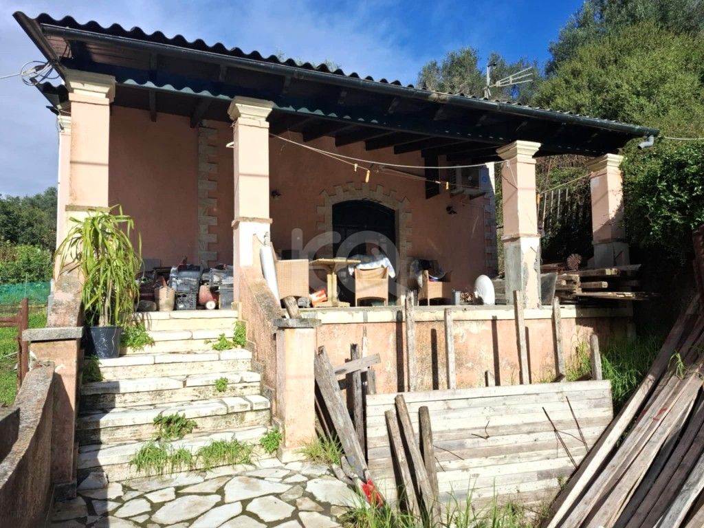 εικόνα αγγελίας