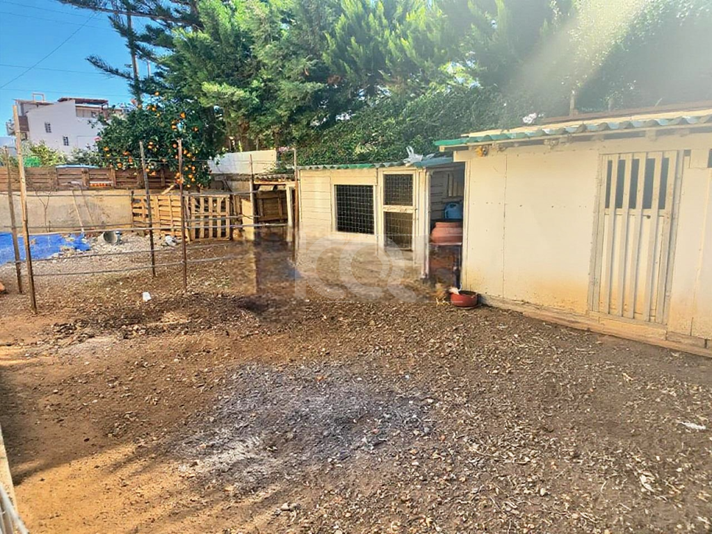 εικόνα αγγελίας