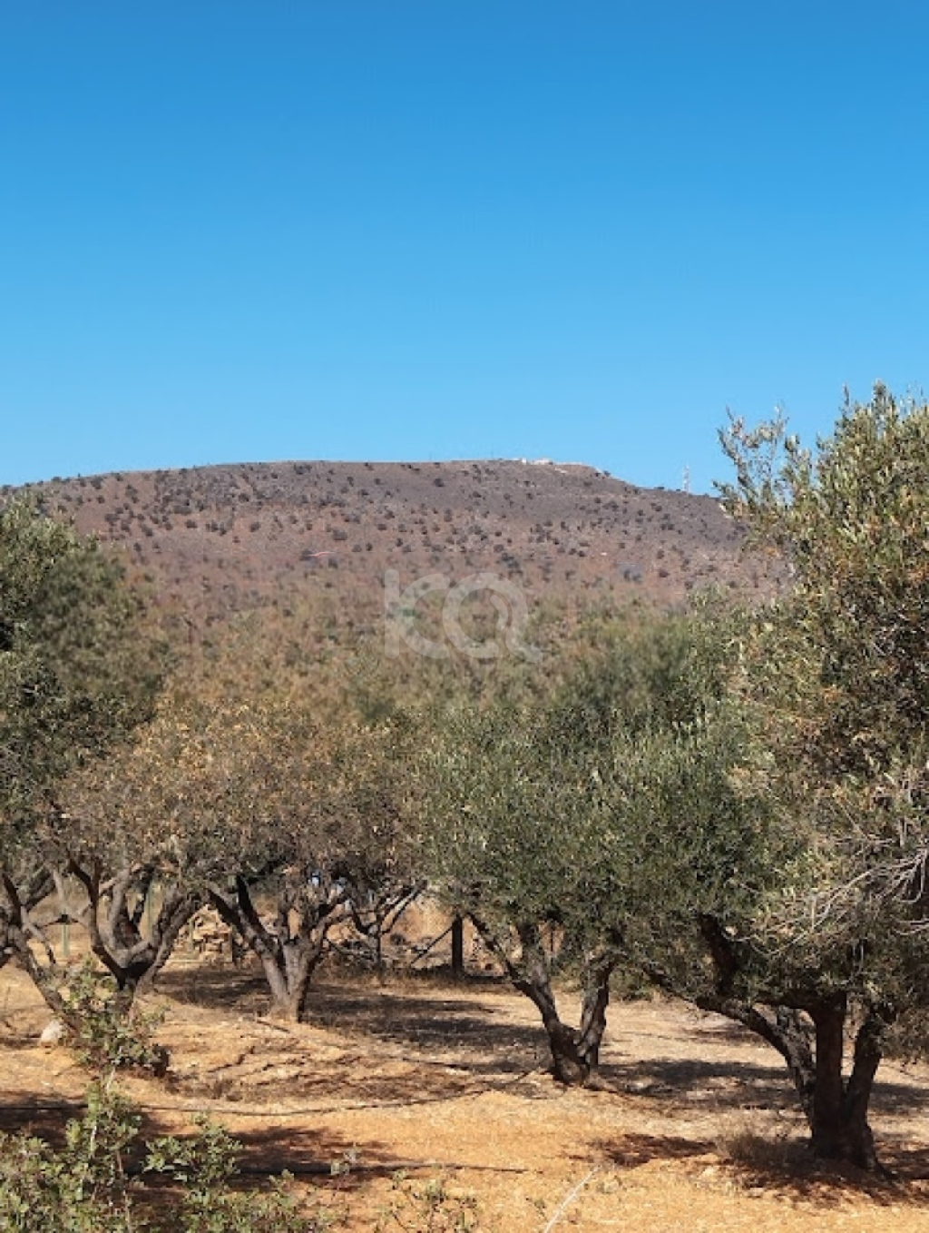 εικόνα αγγελίας