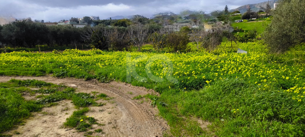 εικόνα αγγελίας