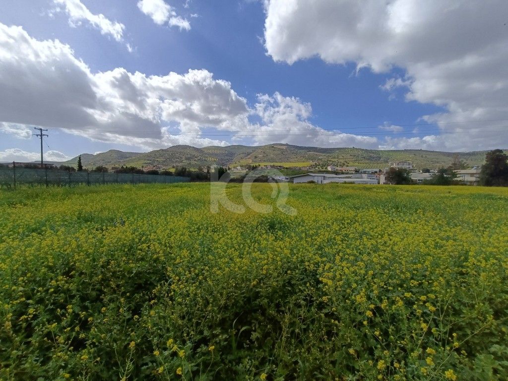 εικόνα αγγελίας