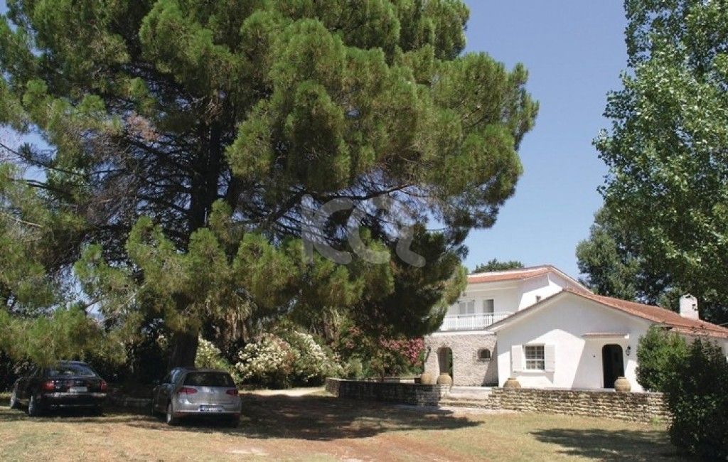 εικόνα αγγελίας