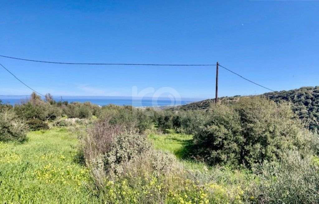 εικόνα αγγελίας