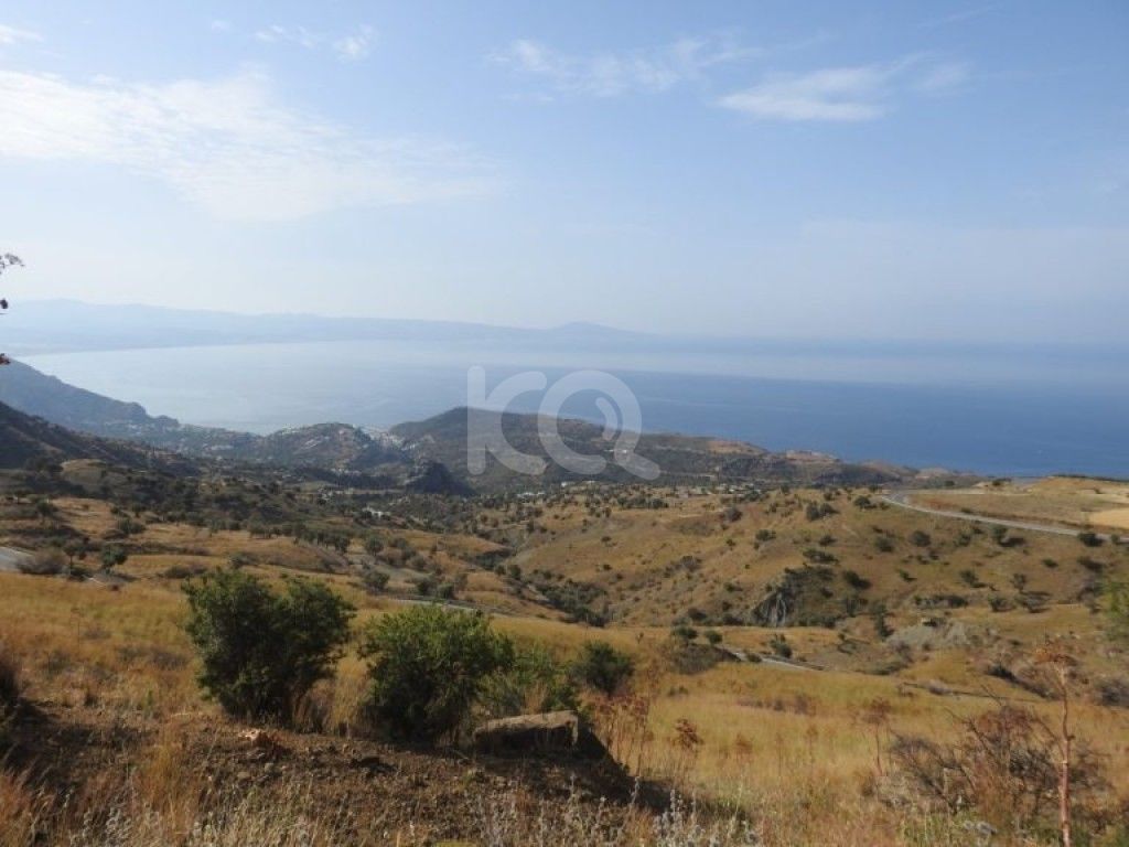 εικόνα αγγελίας