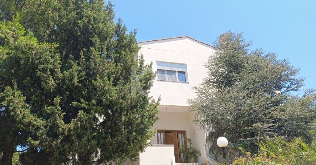 εικόνα αγγελίας