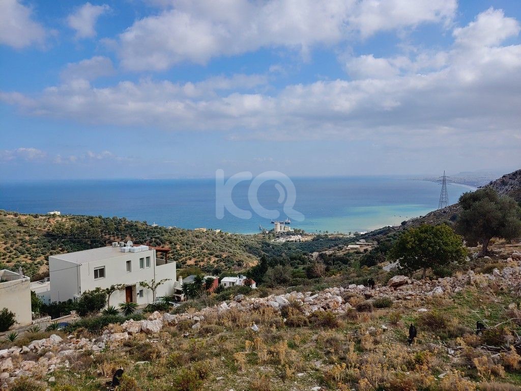 εικόνα αγγελίας