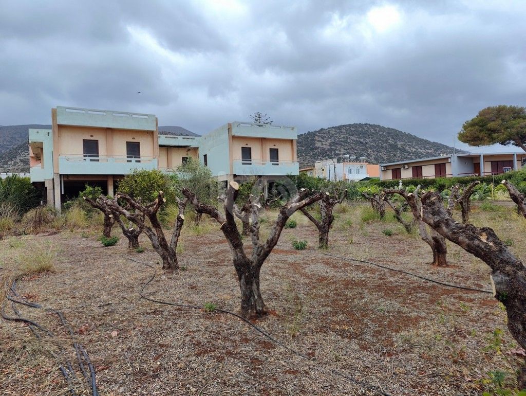 εικόνα αγγελίας