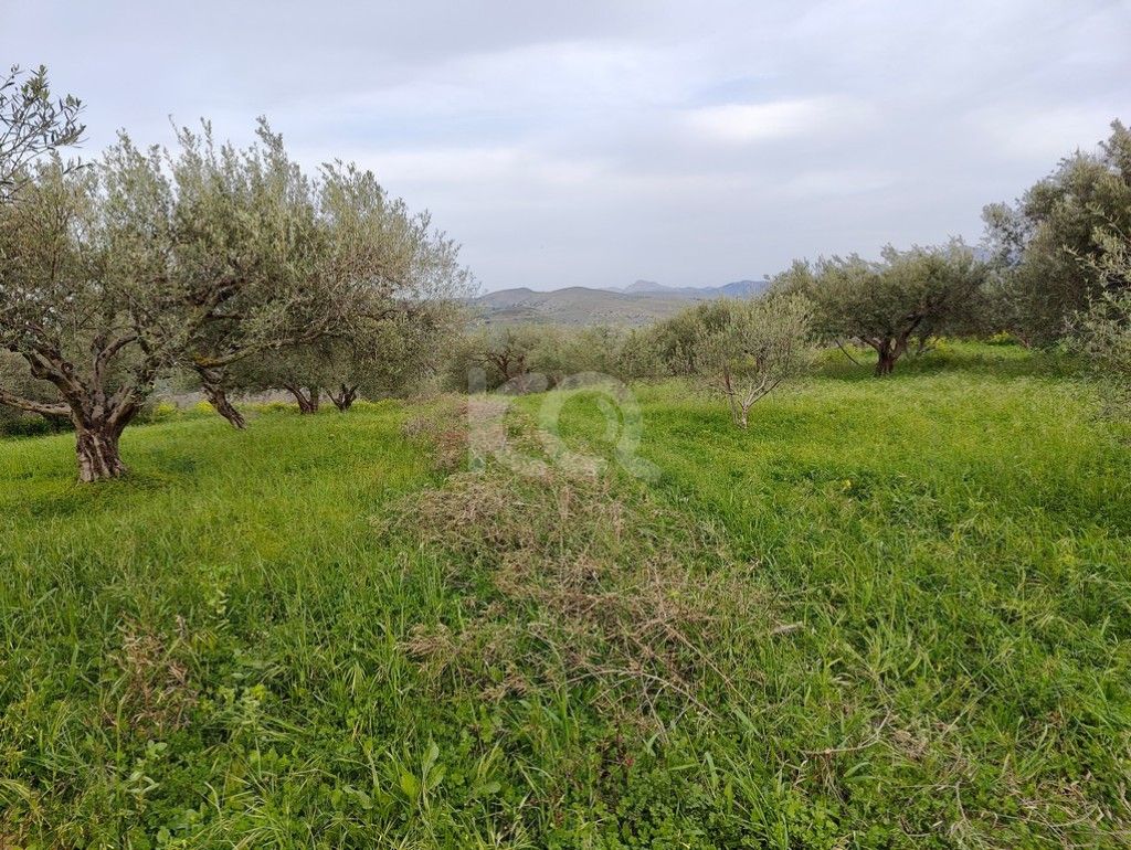 εικόνα αγγελίας