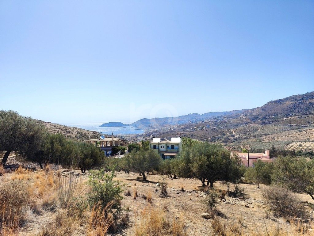 εικόνα αγγελίας