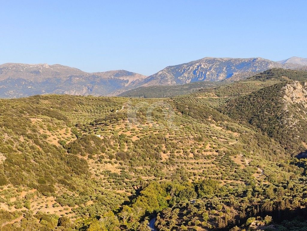 εικόνα αγγελίας