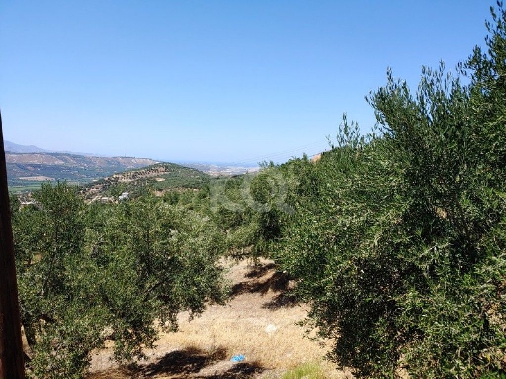 εικόνα αγγελίας