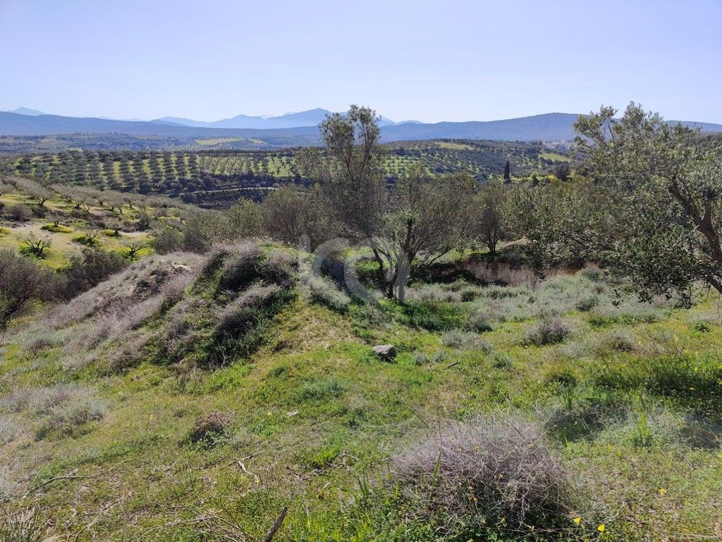 εικόνα αγγελίας