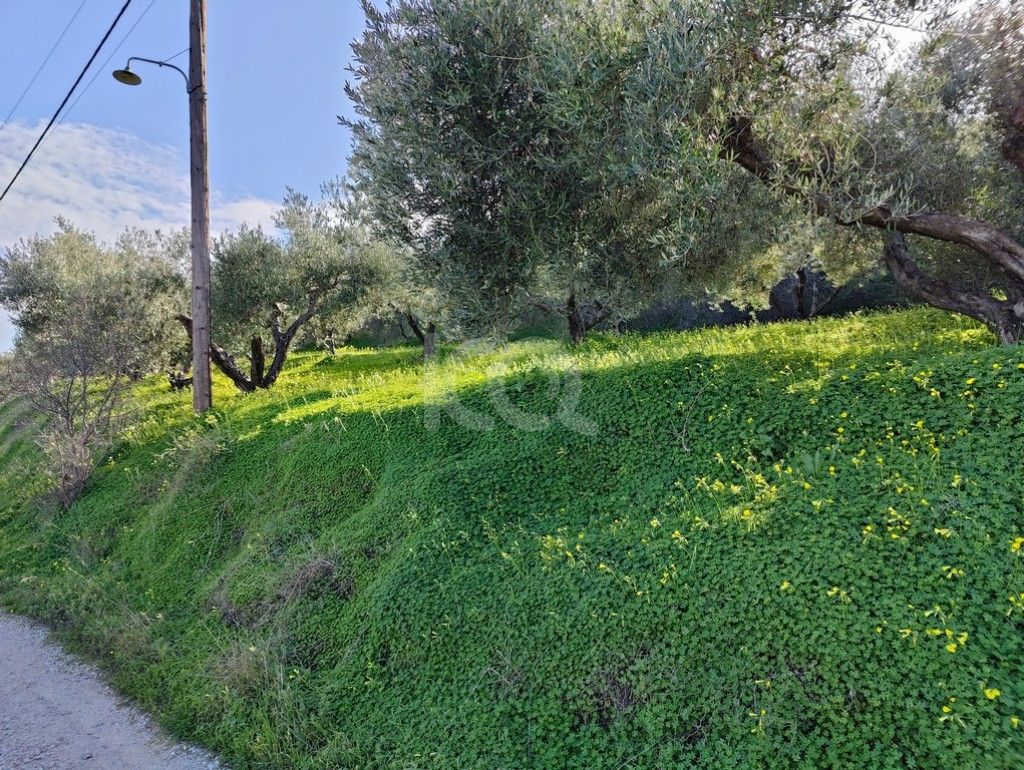 εικόνα αγγελίας