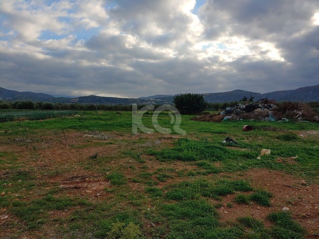 εικόνα αγγελίας