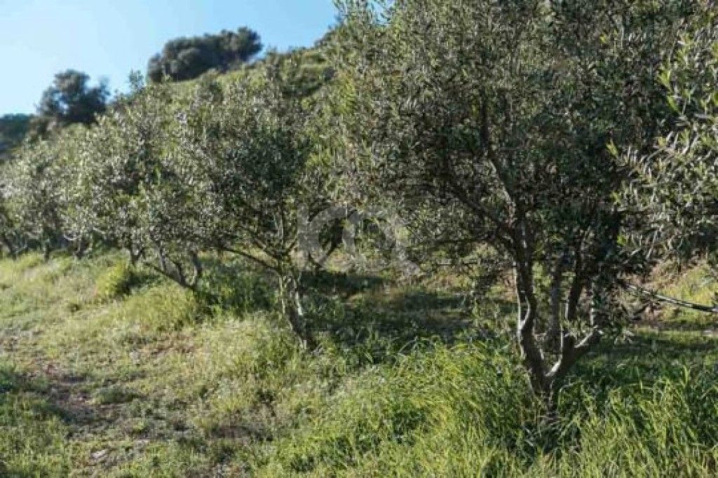 εικόνα αγγελίας