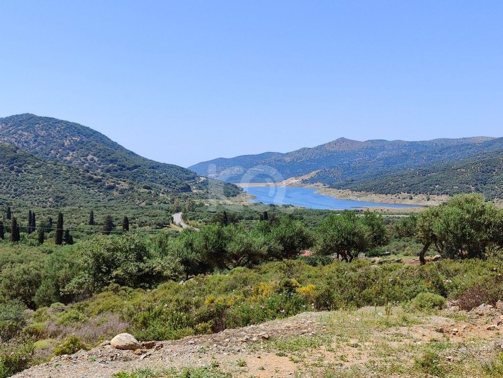 εικόνα αγγελίας