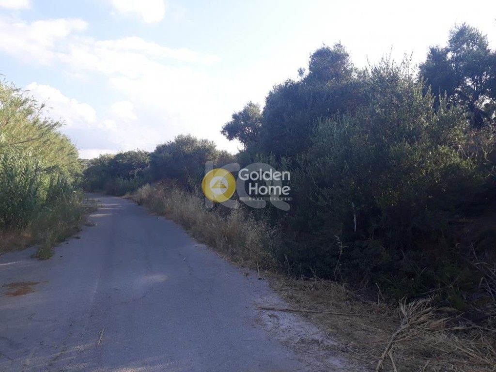 εικόνα αγγελίας