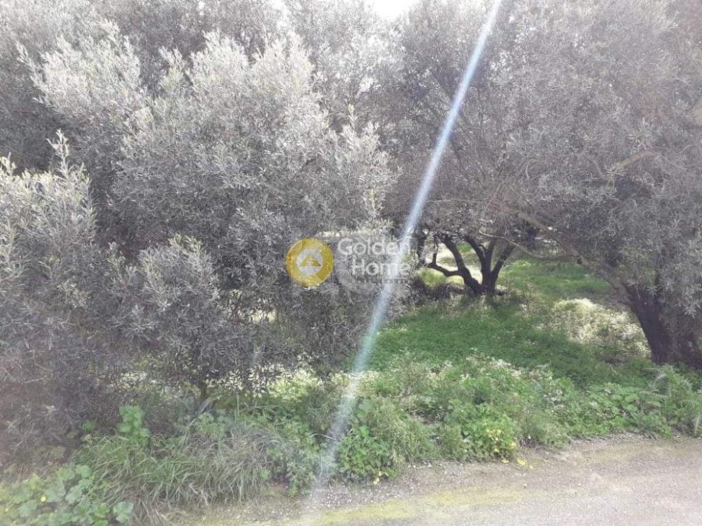 εικόνα αγγελίας