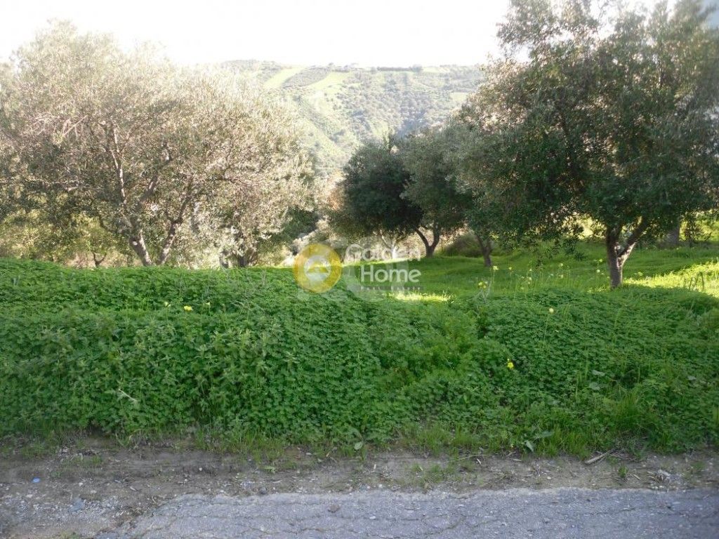 εικόνα αγγελίας