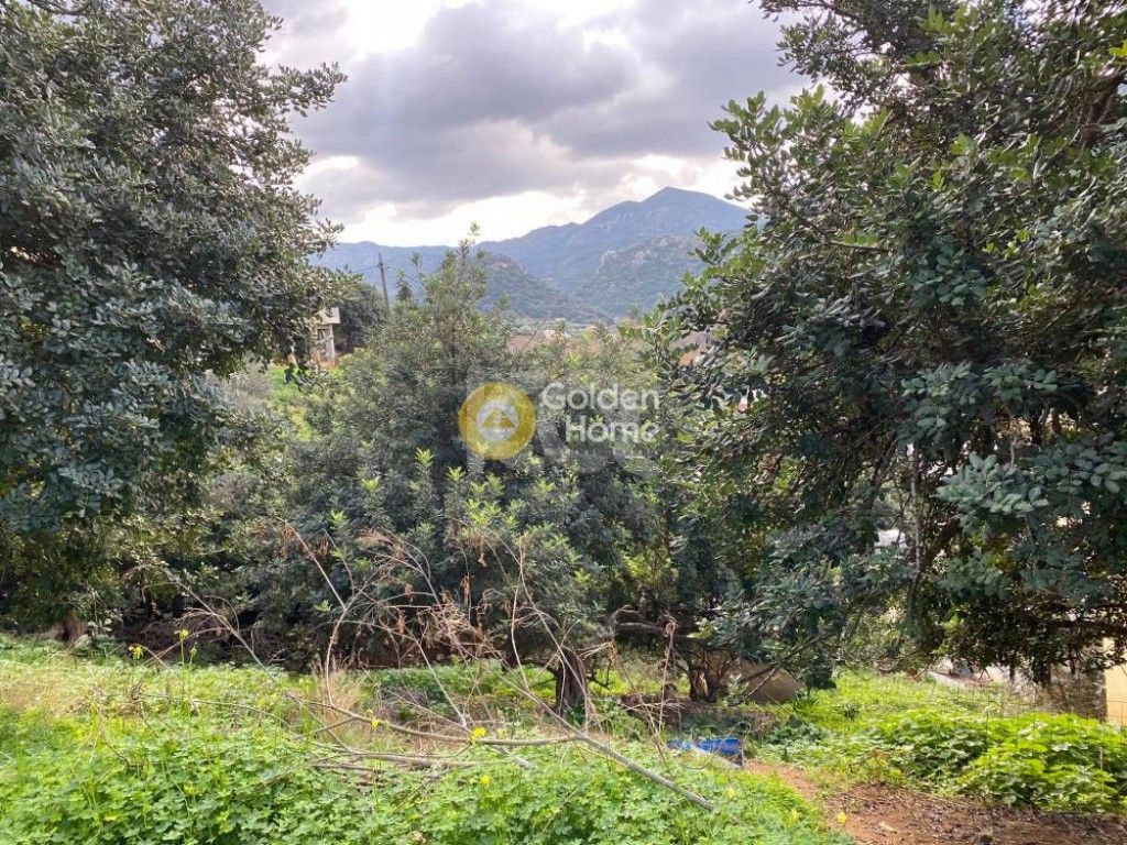 εικόνα αγγελίας