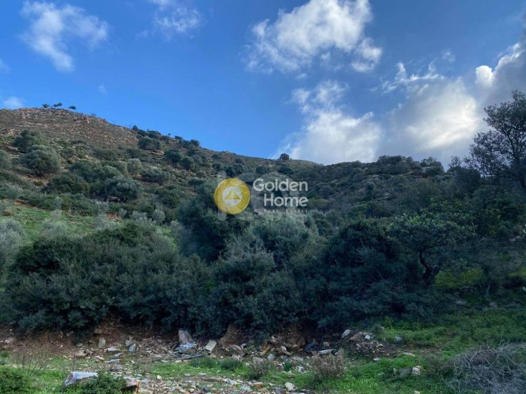 εικόνα αγγελίας