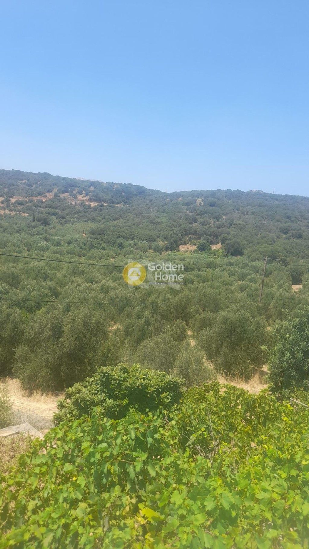 εικόνα αγγελίας