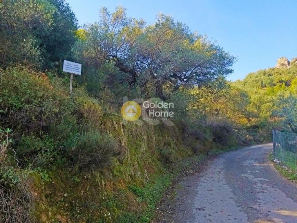 εικόνα αγγελίας