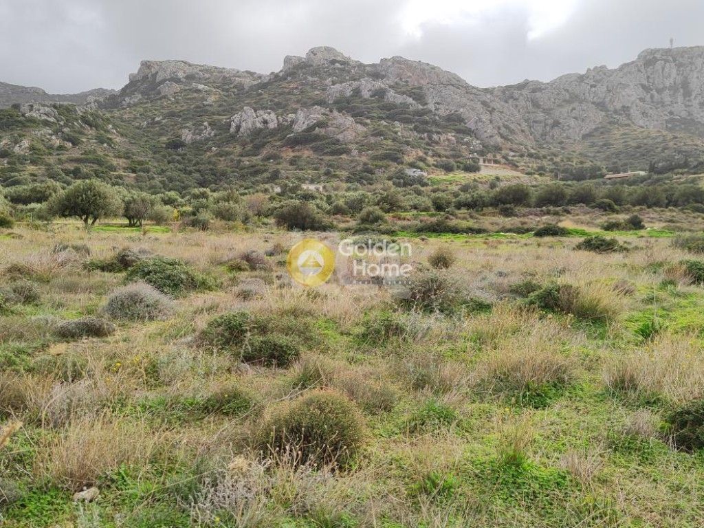 εικόνα αγγελίας