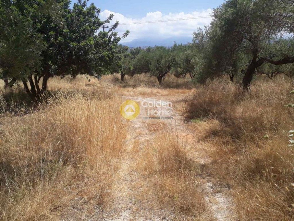 εικόνα αγγελίας