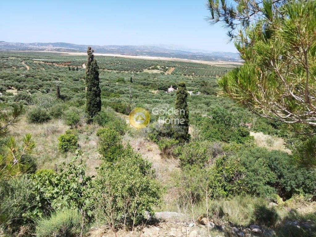 εικόνα αγγελίας