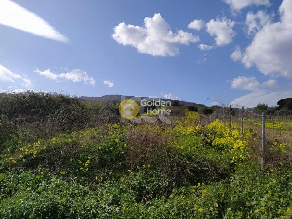 εικόνα αγγελίας