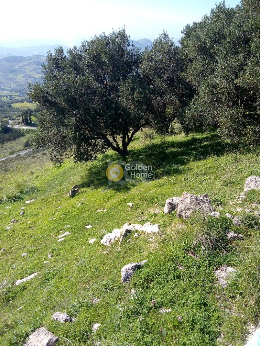 εικόνα αγγελίας