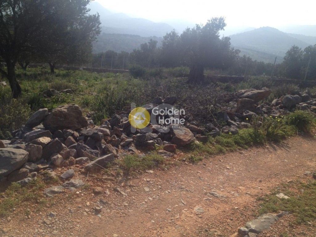 εικόνα αγγελίας