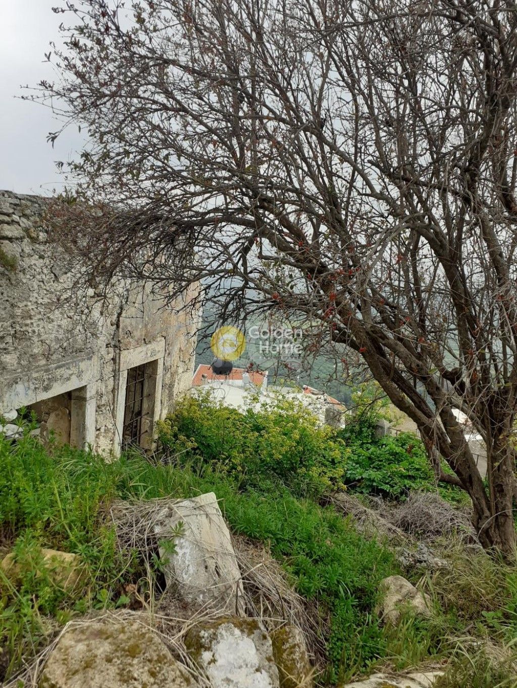 εικόνα αγγελίας