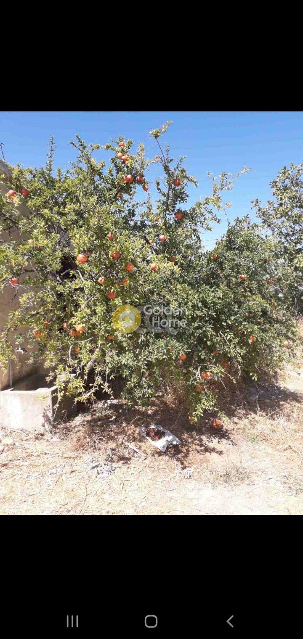 εικόνα αγγελίας