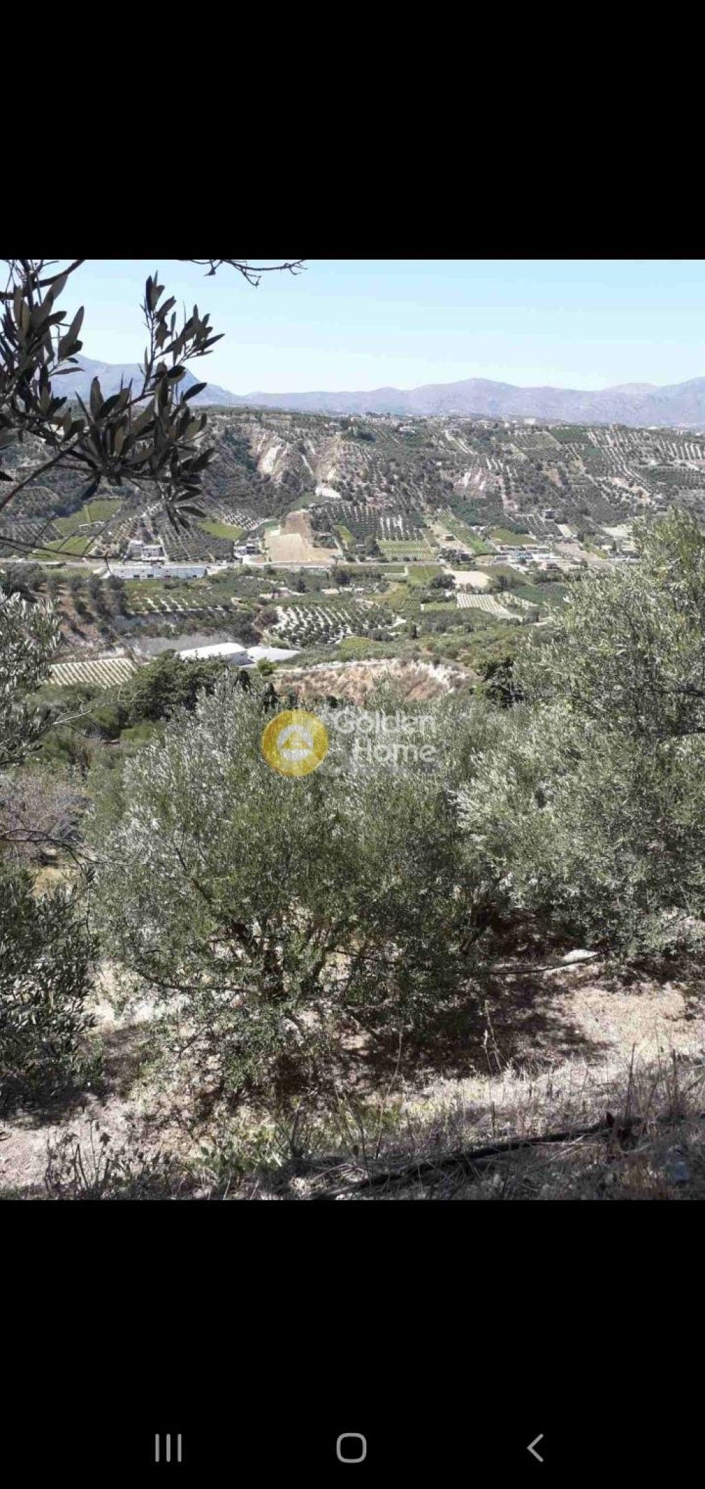 εικόνα αγγελίας