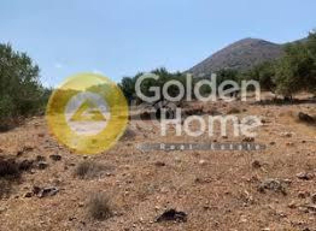 εικόνα αγγελίας