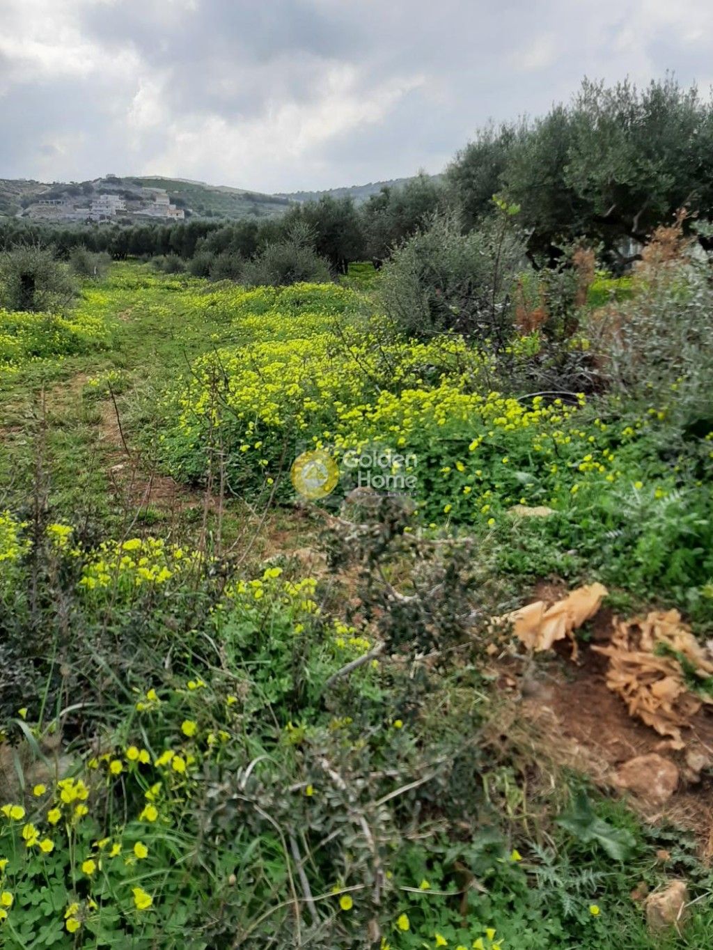 εικόνα αγγελίας