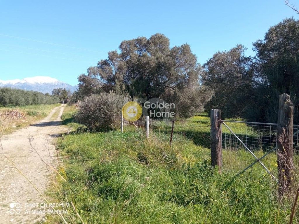 εικόνα αγγελίας
